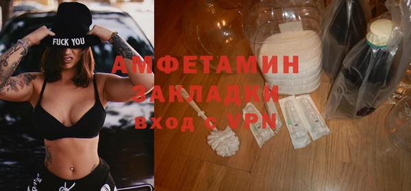 шишки Мегион