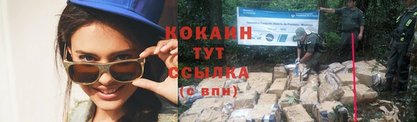 сатива Медногорск