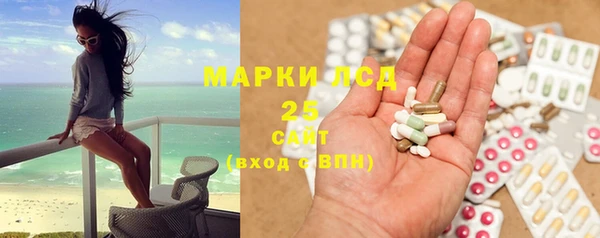 индика Майский