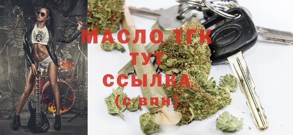 сатива Медногорск