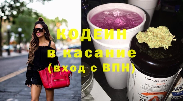 индика Майский