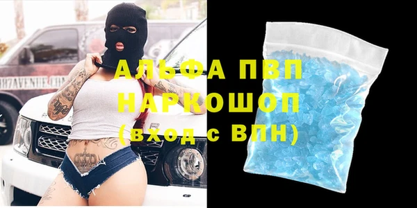 индика Майский