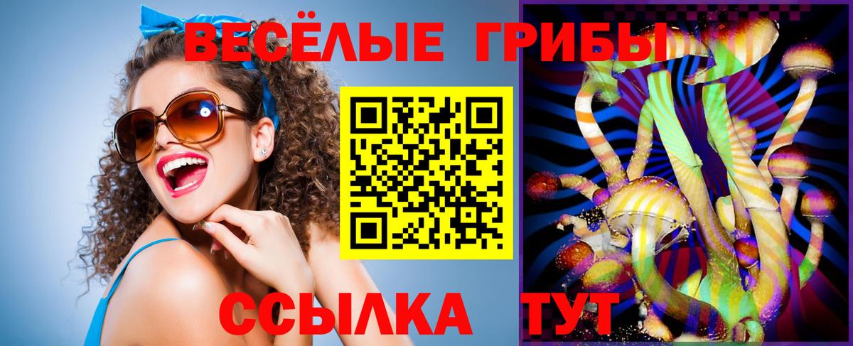 Галлюциногенные грибы Cubensis  Вход с VPN  Тольятти 