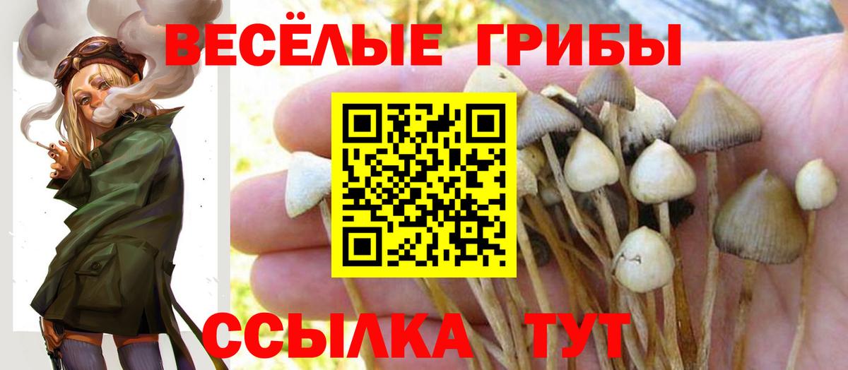 Псилоцибиновые грибы MAGIC MUSHROOMS Тольятти