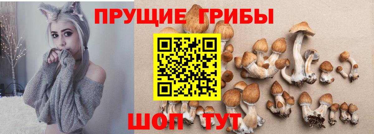 Псилоцибиновые грибы Magic Shrooms  Галлюциногенные грибы Psilocybe  Тольятти 